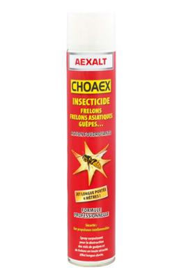 INSECTISIDE ANTI- FRELONS CHOAEX