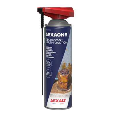 DEGRIPPANT MULTIFONTIONS 650ML