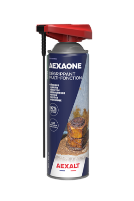 DEGRIPPANT MULTIFONTIONS 650ML