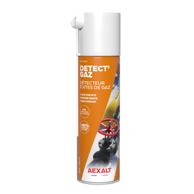 DETECTEUR DE FUITE DE GAZ 650 ML
