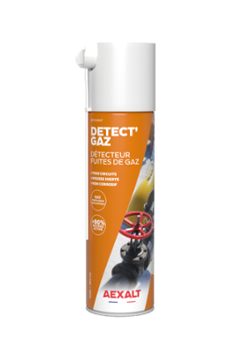 DETECTEUR DE FUITE DE GAZ 650 ML