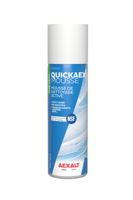 NETTOYANT QUICKAEX MOUSSE 650ML