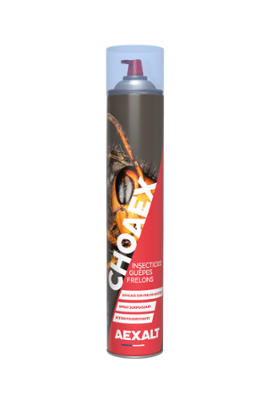 INSECTICIDE ANTI- FRELONS CHOAEX