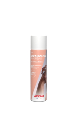 NETTOYANT MAIN SEC HANDAEX 210ML